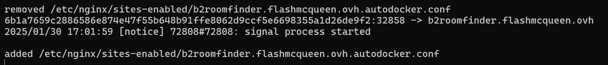 Screenshot of Auto deploy docker