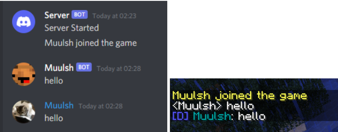 Screenshot of Plugin Spigot (Minecraft)